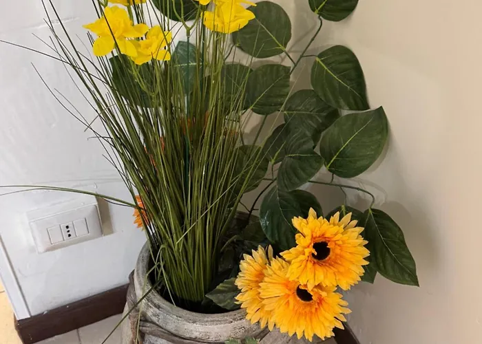 New View Canal Lovers