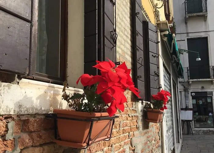 New View Canal Lovers *